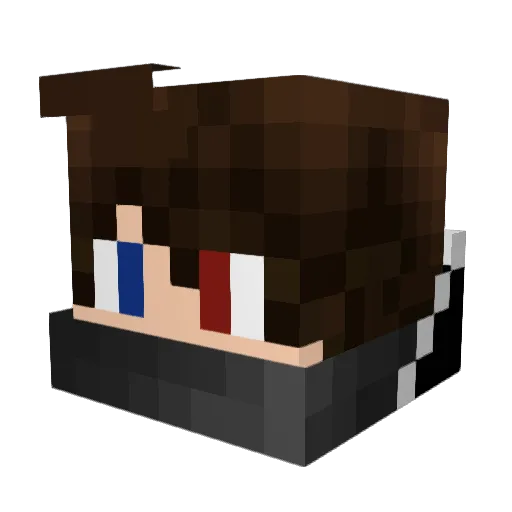 OccuPie Minecraft avatar head, 3D render