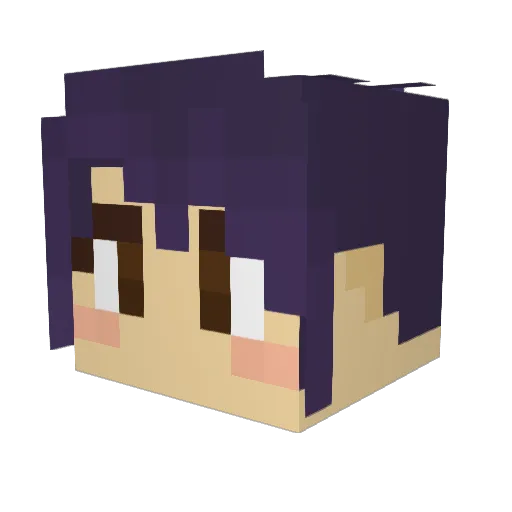 Occupied33 Minecraft avatar head, 3D render