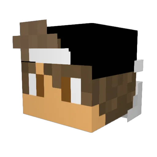 Ocean888 Minecraft avatar head, 3D render
