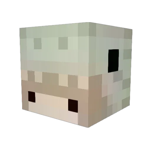 OceanDragon37 Minecraft avatar head, 3D render