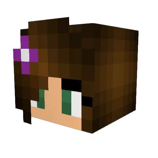 OceanGirl160 Minecraft avatar head, 3D render