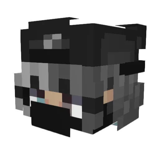 OceanHasWaves Minecraft avatar head, 3D render