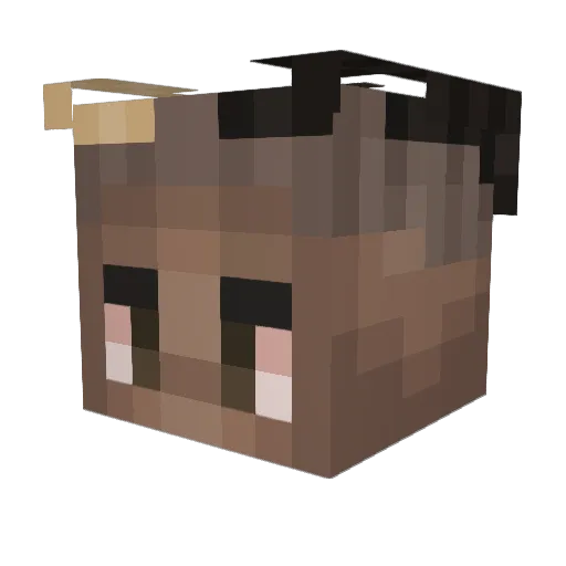 OceanRZ Minecraft avatar head, 3D render