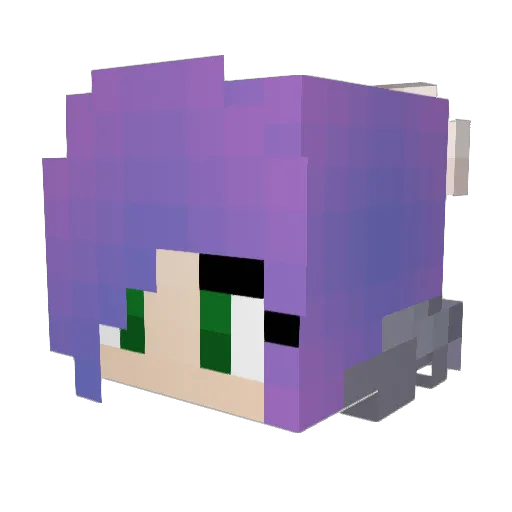 OceanTurtlez Minecraft avatar head, 3D render
