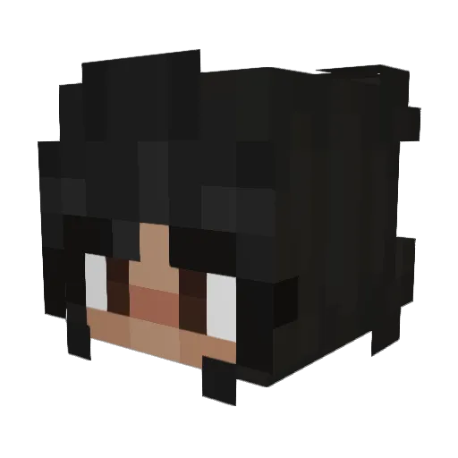 Ocean_65 Minecraft avatar head, 3D render