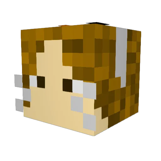 Ocean_Queen7 Minecraft avatar head, 3D render