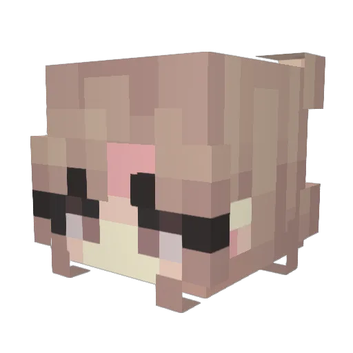 Ocean_peace Minecraft avatar head, 3D render