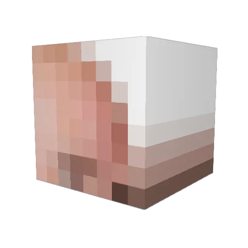 Oceanic_Stormy Minecraft avatar head, 3D render