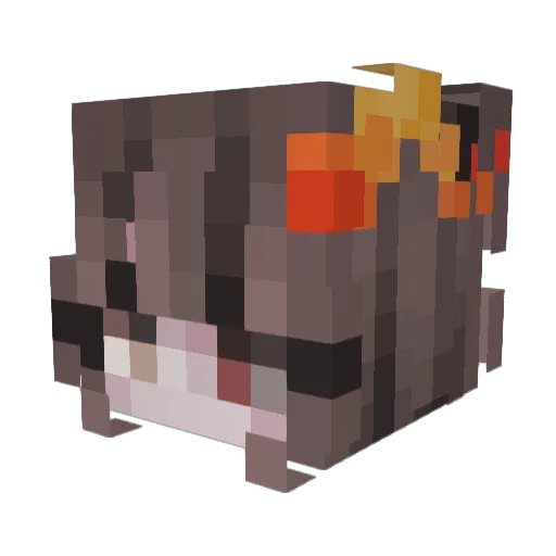 Oceanicfps Minecraft avatar head, 3D render