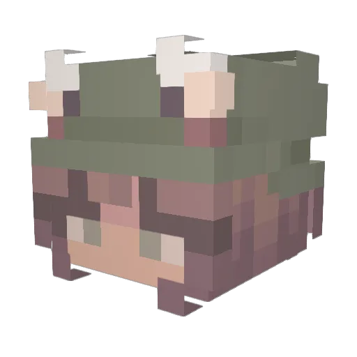 Oceanicsxo1103 Minecraft avatar head, 3D render
