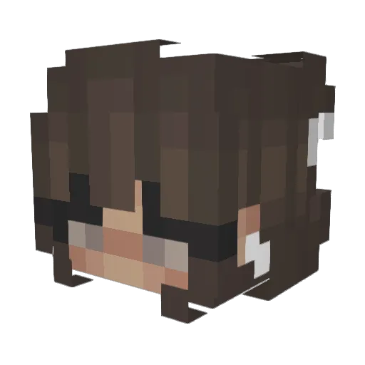 Oceannn_ Minecraft avatar head, 3D render