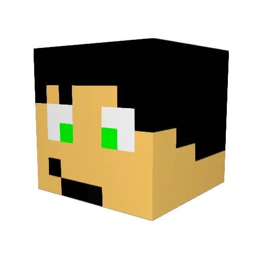 Oceano34 Minecraft avatar head, 3D render