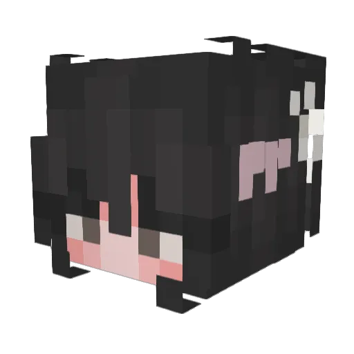 Oceano_ Minecraft avatar head, 3D render
