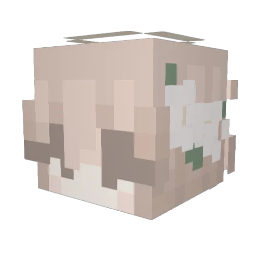 Oceans_world Minecraft avatar head, 3D render