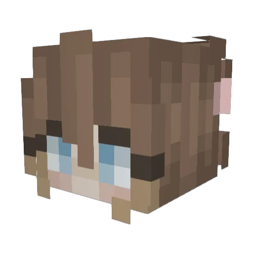 OceanxPlayz Minecraft avatar head, 3D render