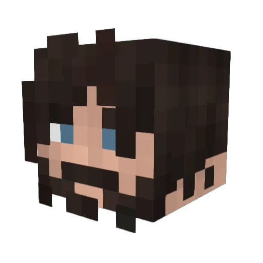 Ocelot1220 Minecraft avatar head, 3D render