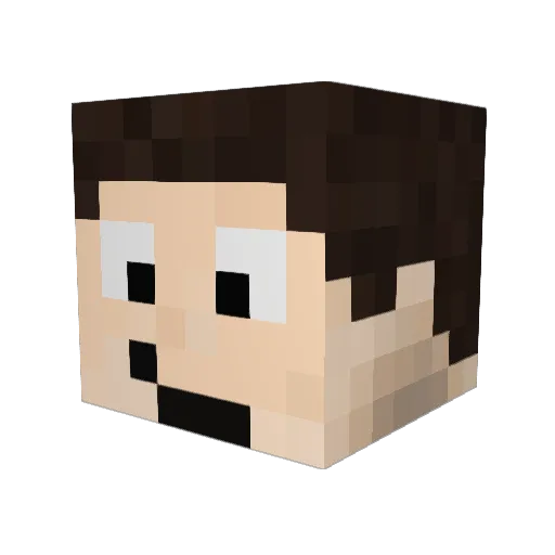 OcelotBrothers Minecraft avatar head, 3D render