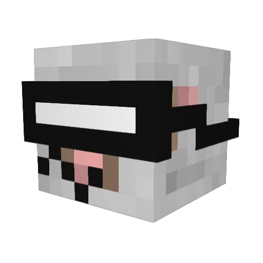 OcelotLord312 Minecraft avatar head, 3D render