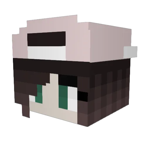 OcelotQueenie Minecraft avatar head, 3D render