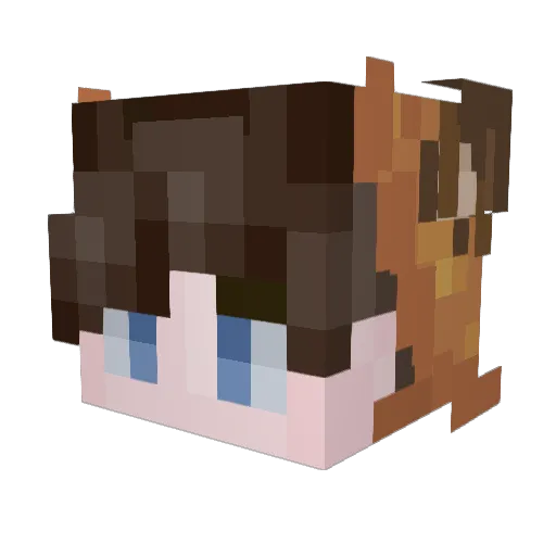 Ocha_oz Minecraft avatar head, 3D render