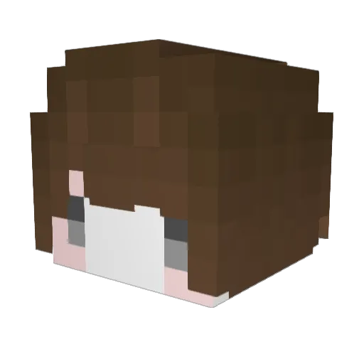 Ochei_ Minecraft avatar head, 3D render