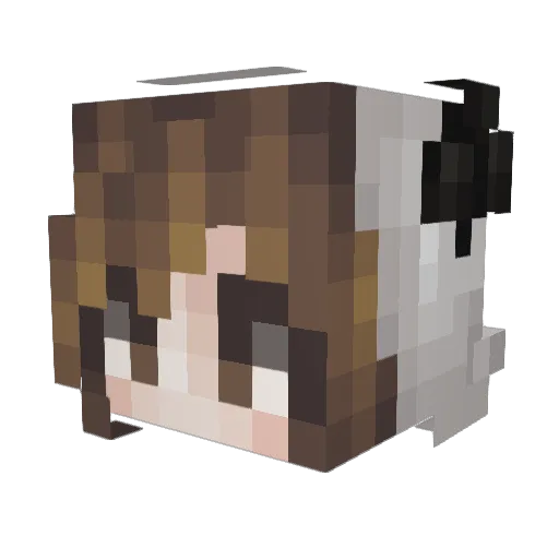 OchieLlama Minecraft avatar head, 3D render