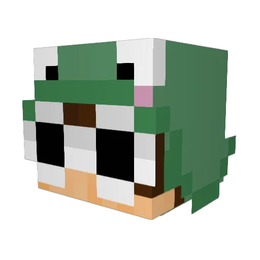 Ocianic Minecraft avatar head, 3D render