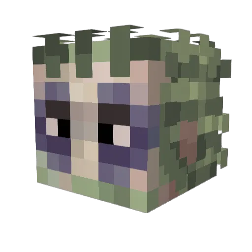 Ocilin Minecraft avatar head, 3D render