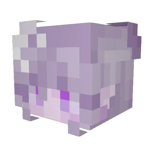 OctagonCatnip Minecraft avatar head, 3D render
