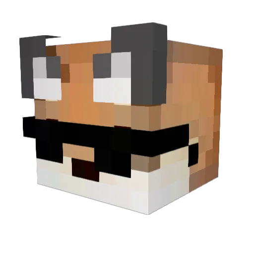 Octo8306 Minecraft avatar head, 3D render