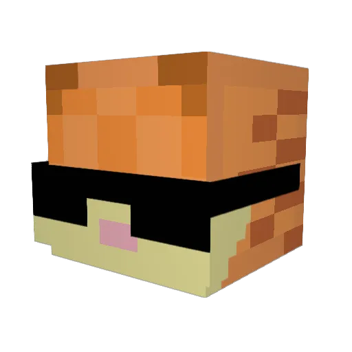 OctoCrafter6849 Minecraft avatar head, 3D render
