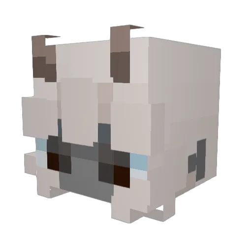 OctoKrumble Minecraft avatar head, 3D render
