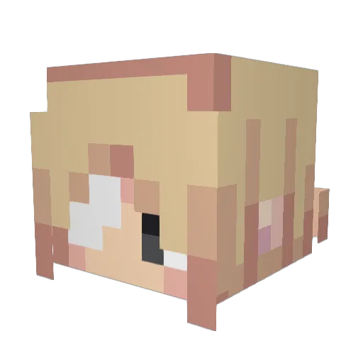 OctoNook Minecraft avatar head, 3D render