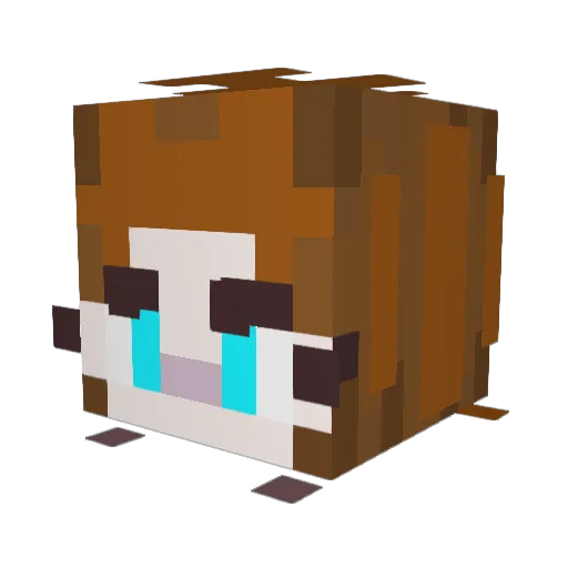 OctoOllie12 Minecraft avatar head, 3D render