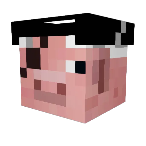 OctoSkull534 Minecraft avatar head, 3D render