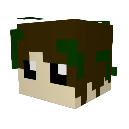 Octo_Ollie Minecraft avatar head, 3D render
