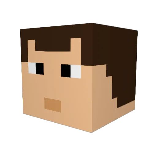 Octoboy01 Minecraft avatar head, 3D render