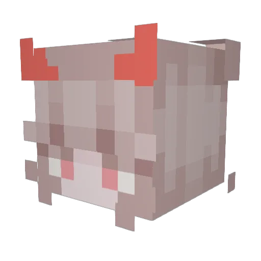 Octoploosh Minecraft avatar head, 3D render