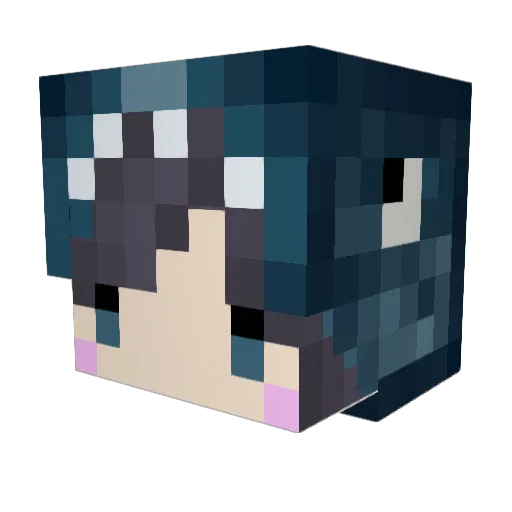 Octopus_12 Minecraft avatar head, 3D render
