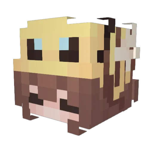Octopusechka Minecraft avatar head, 3D render