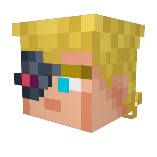 Octopusinmymouth Minecraft avatar head, 3D render