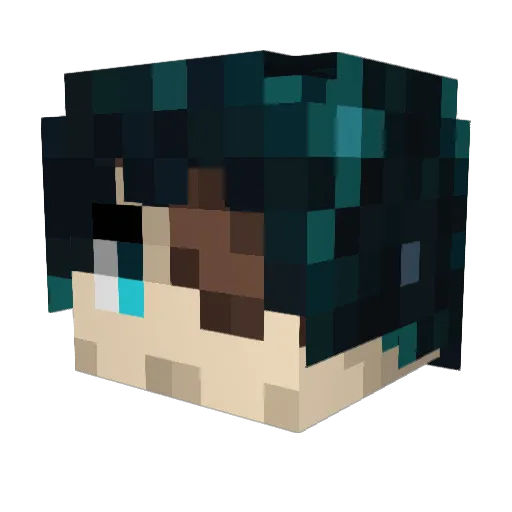 Octopusoup Minecraft avatar head, 3D render