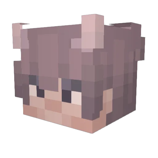 Octosus Minecraft avatar head, 3D render