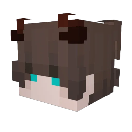 Octoweirdo Minecraft avatar head, 3D render