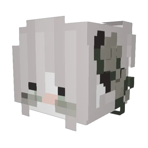 Octroymnoctb Minecraft avatar head, 3D render