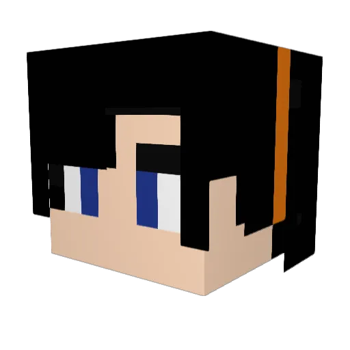 OctuplePlane777 Minecraft avatar head, 3D render