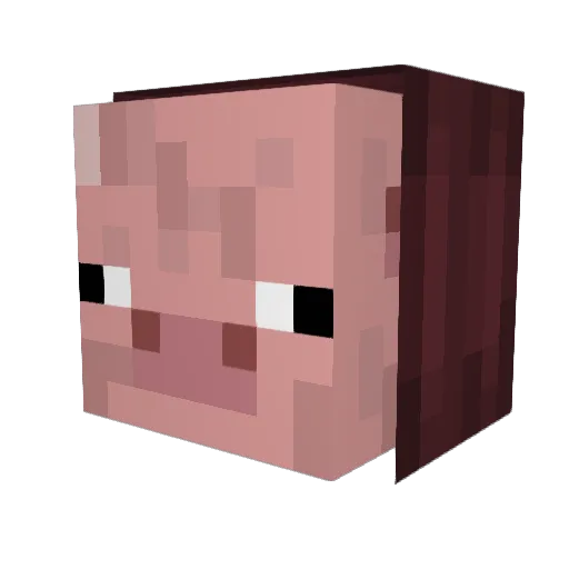 OcupaPig Minecraft avatar head, 3D render