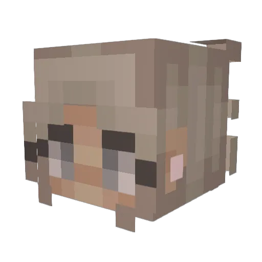 OdaTora Minecraft avatar head, 3D render
