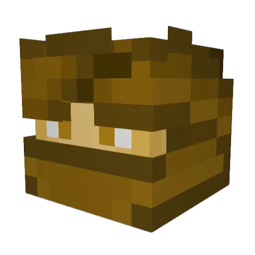 Odaala Minecraft avatar head, 3D render