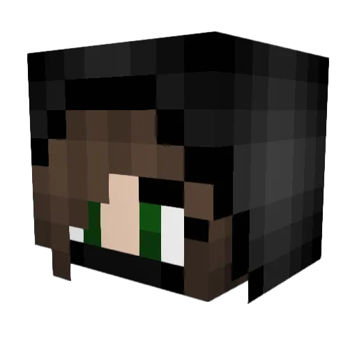 OddSnake1113 Minecraft avatar head, 3D render